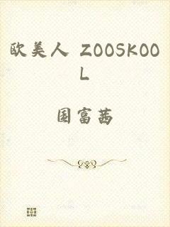 欧美人 ZOOSKOOL